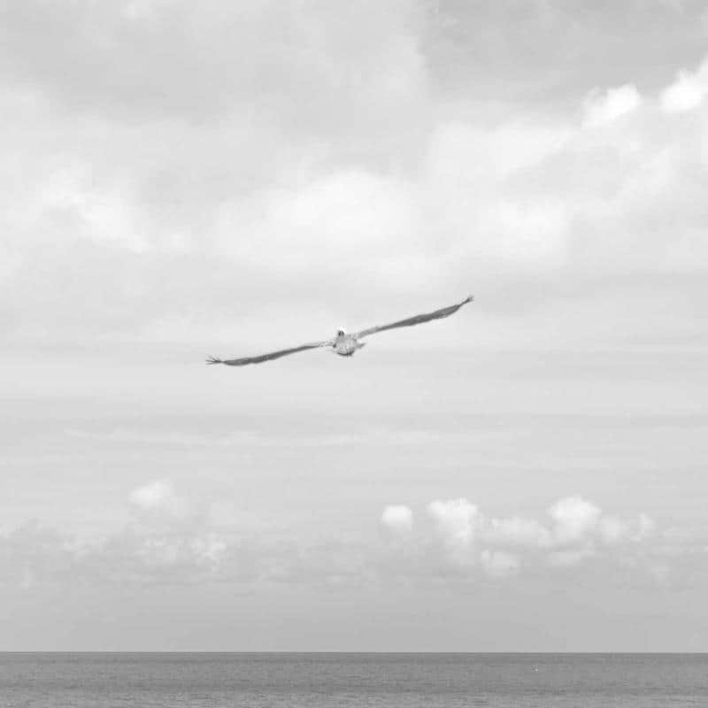 Jordan Fragment × Travis Scott × Air Jordan 1 Low